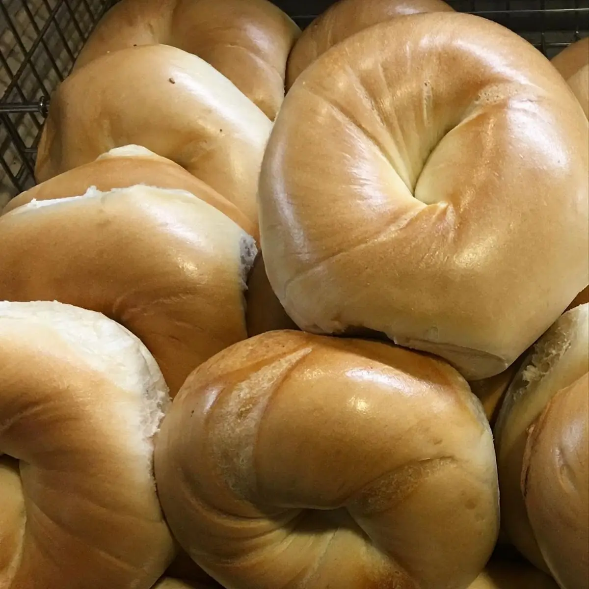 Dozen Bagels