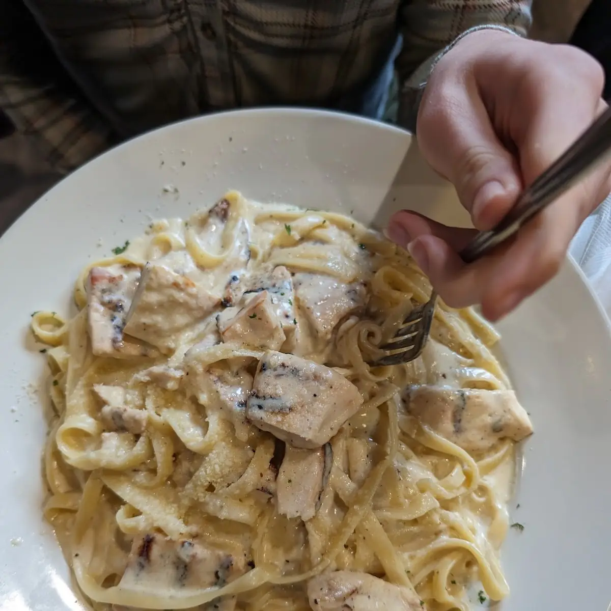 Chicken Alfredo