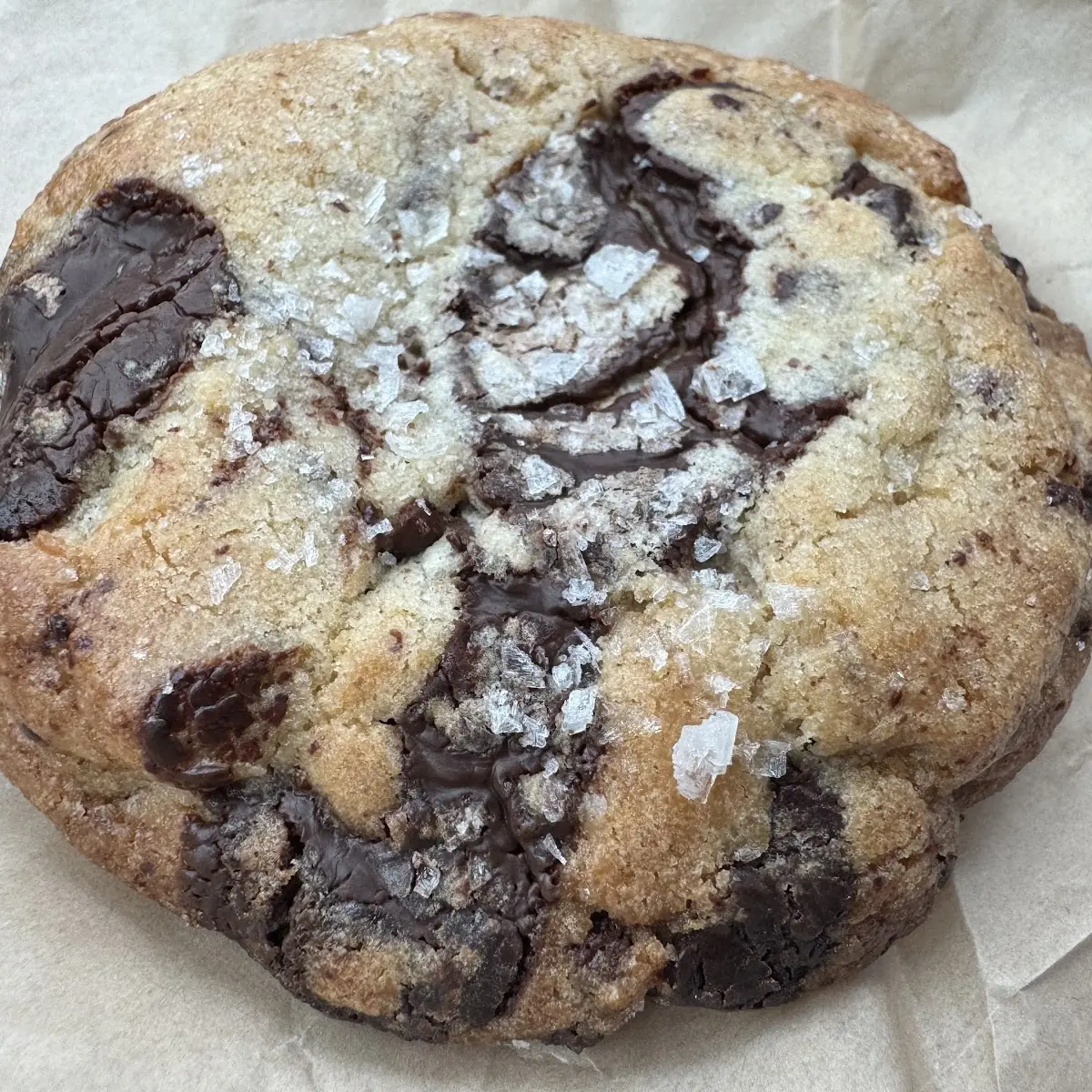 Chocolate Chip Cookie