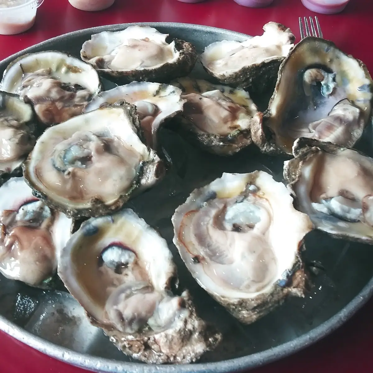 Oysters on the Half Shell