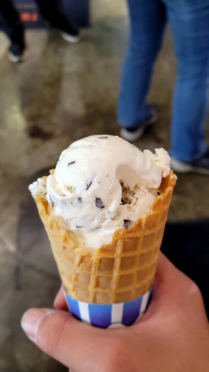 Chocolate Chip Cookie Dough