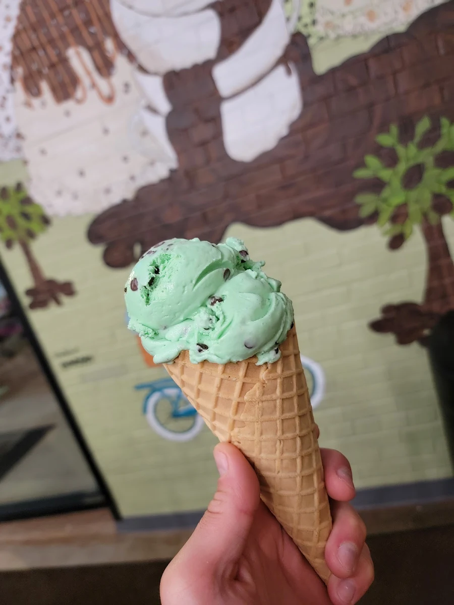 Mint Chocolate Chip
