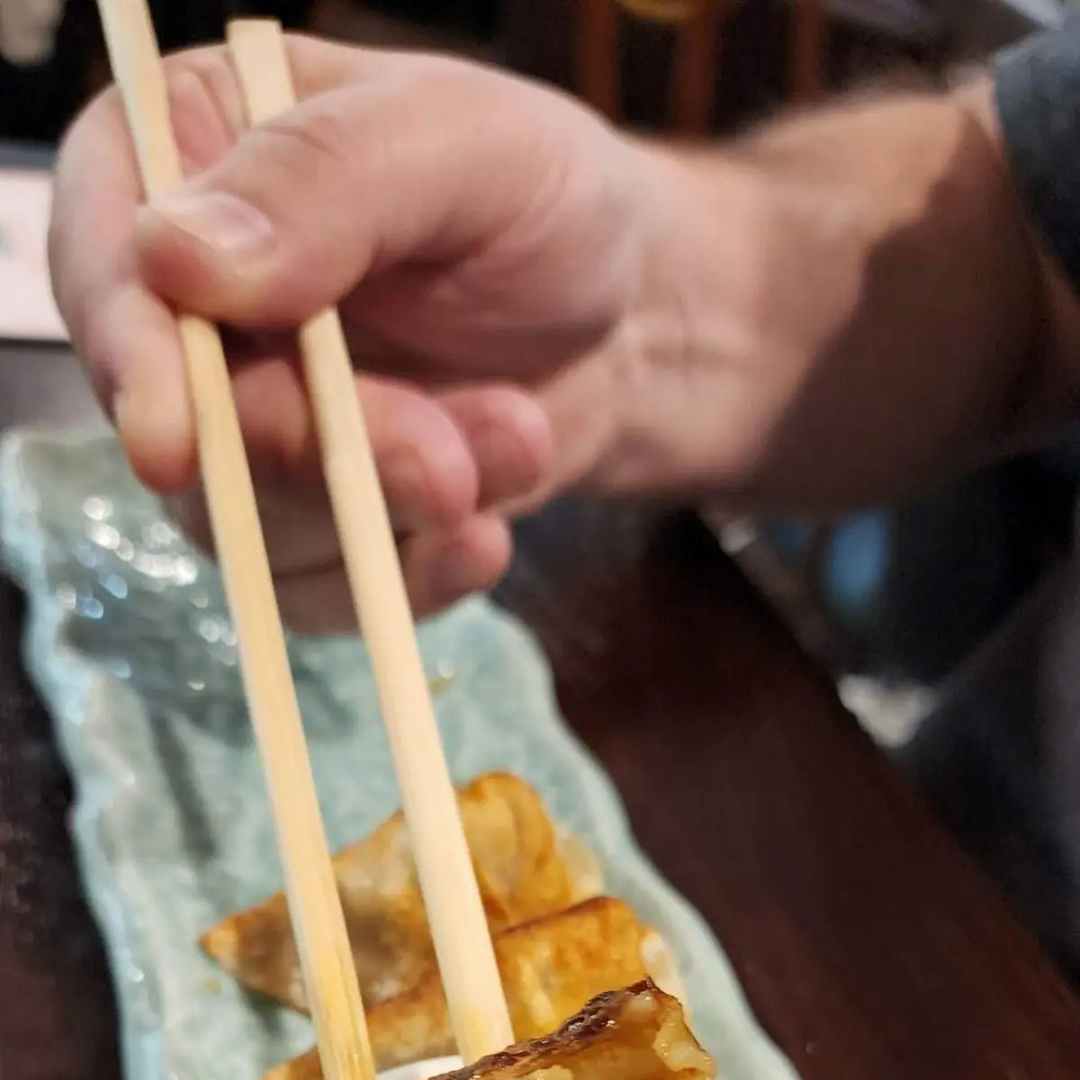 Pan-Fried Dumplings