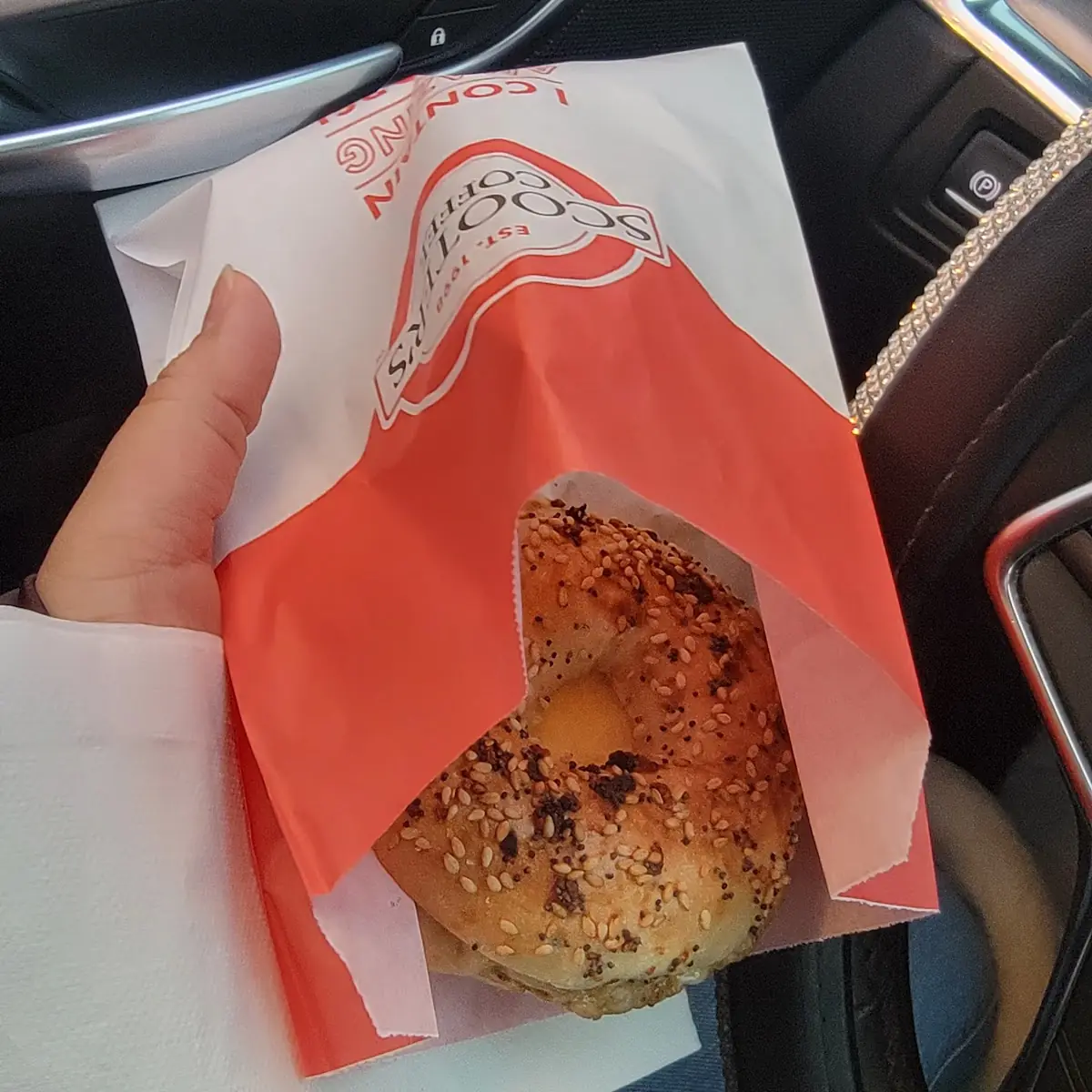 Everything Bagel Sandwich