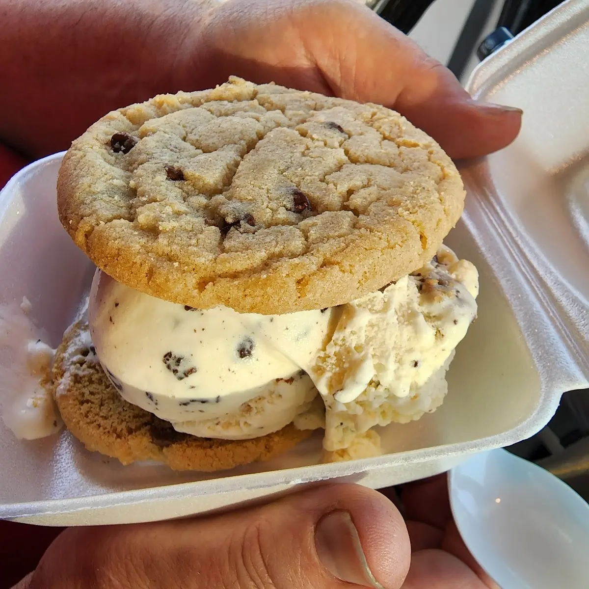 D- Cookie Sandwich
