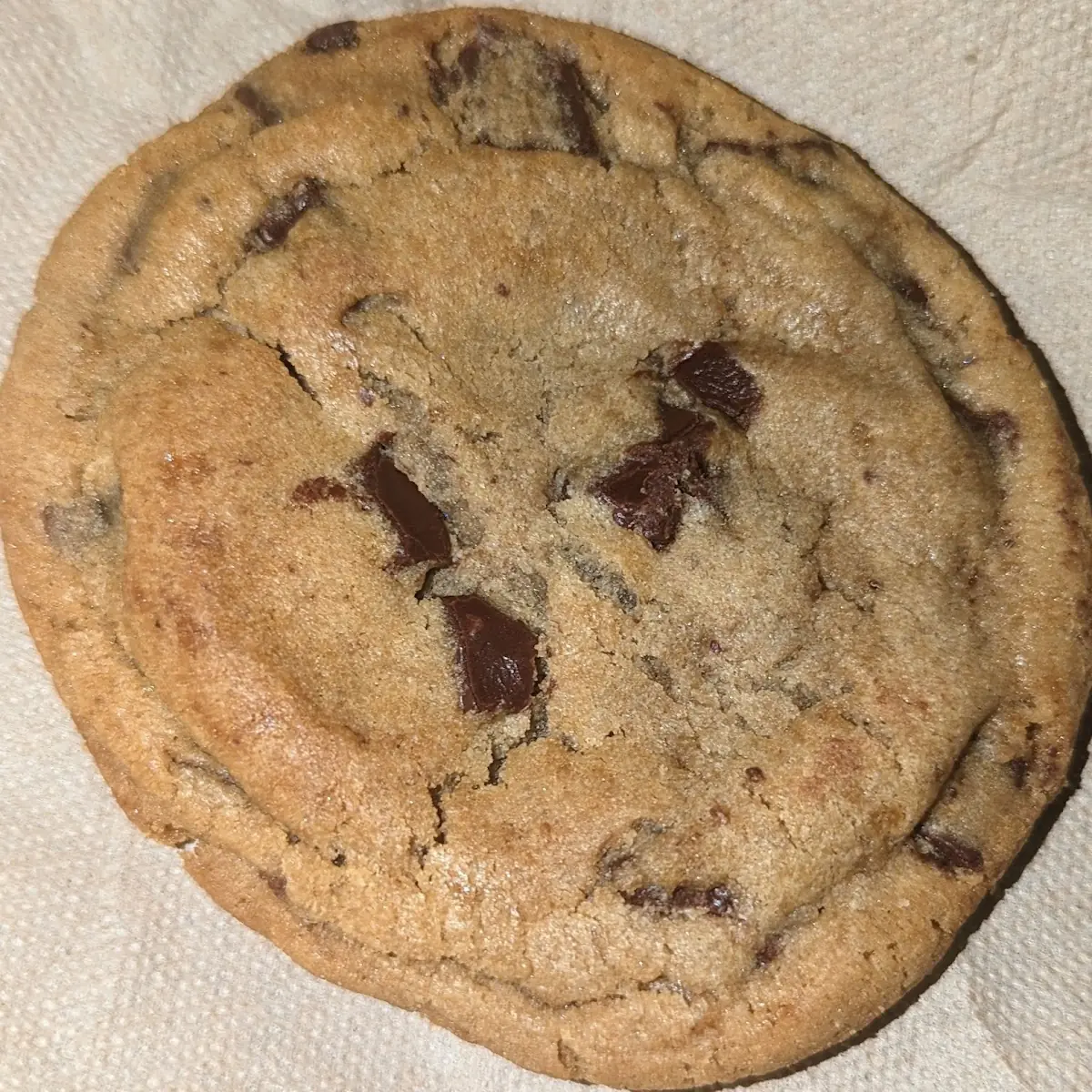 Chocolate Chip Cookie