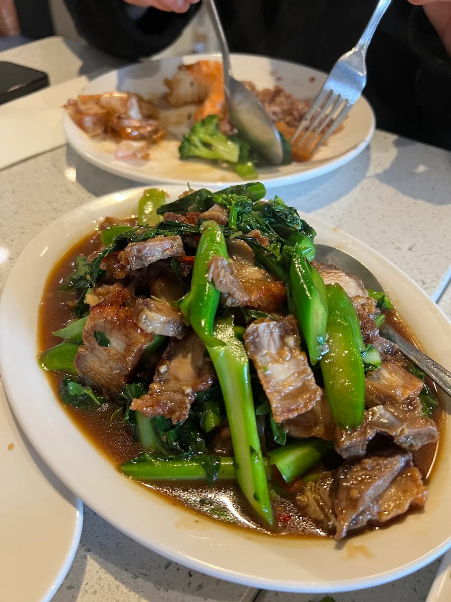 Beef Oyster Sauce