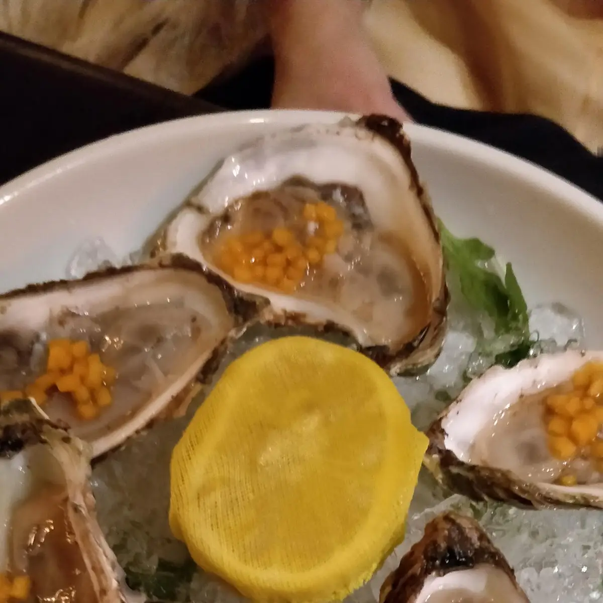 Half Dozen Oysters
