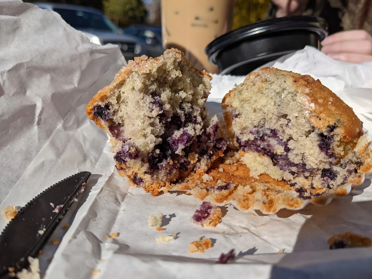 Blueberry Muffin