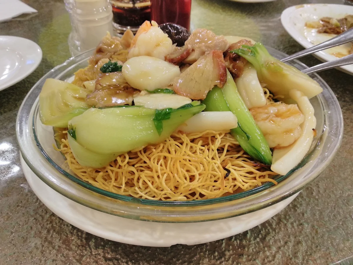 Sliced Chicken & Chinese Mushroom Chow Mein, Congee Noodle House