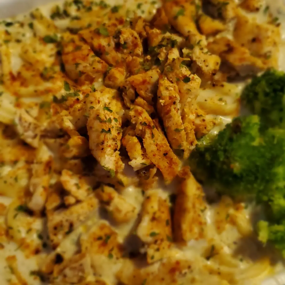 Chicken Alfredo