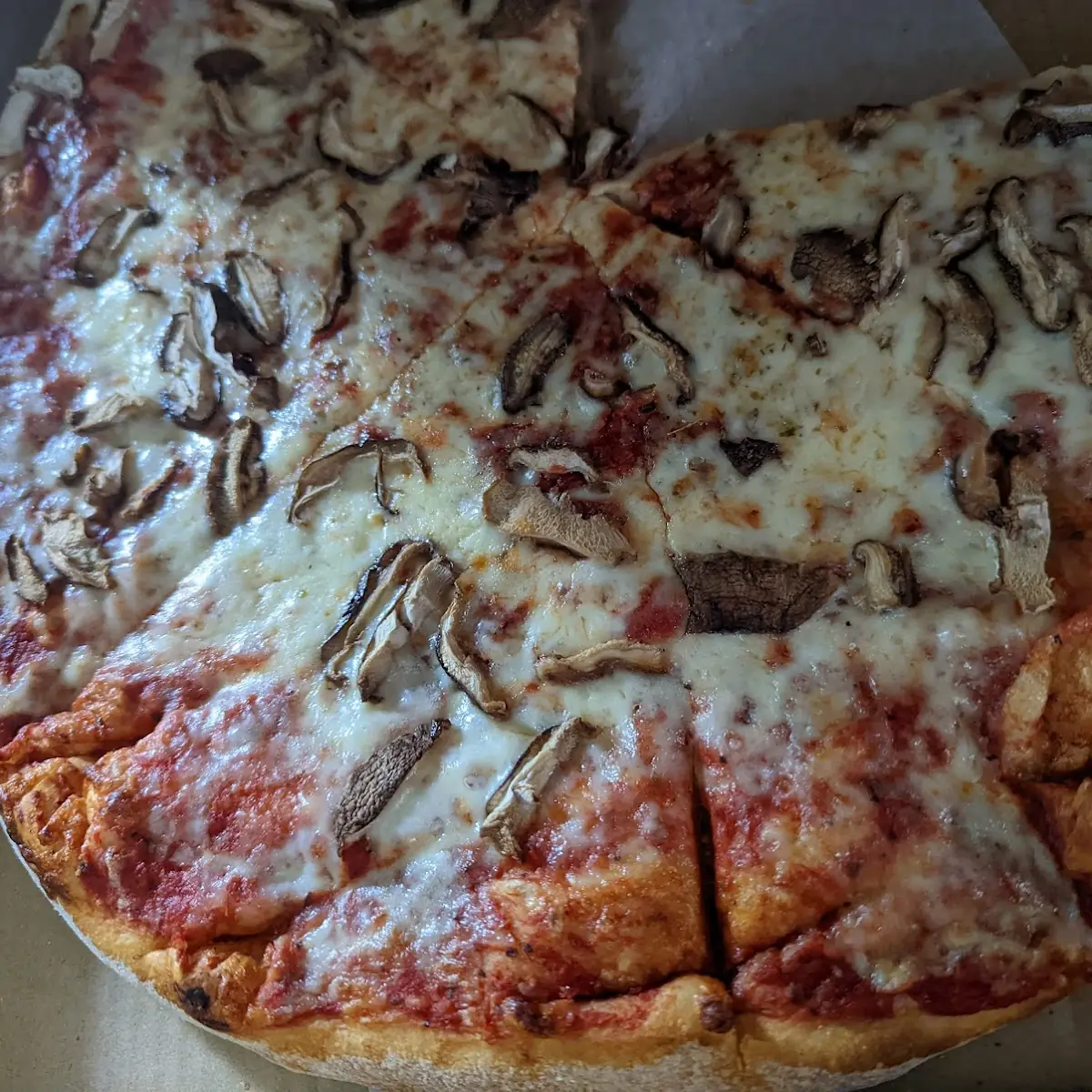 Mushroom Pizza
