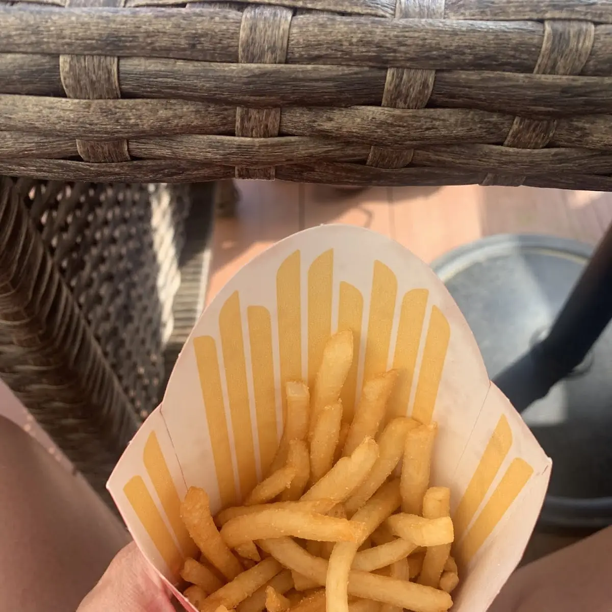 World Famous Fries