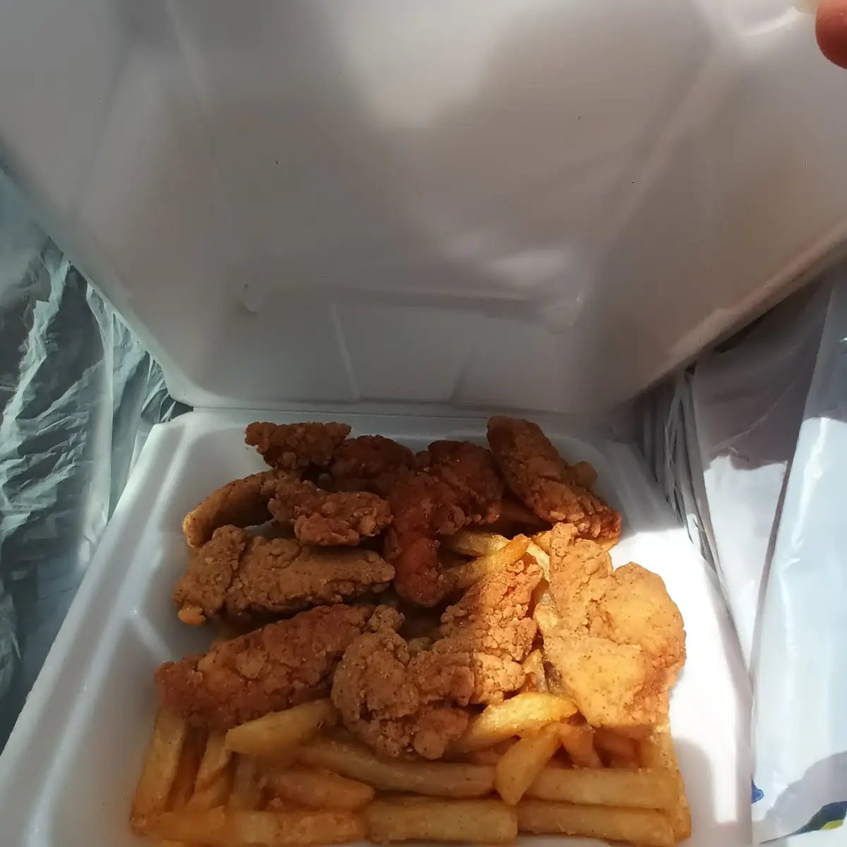 Chicken Strips w Fries