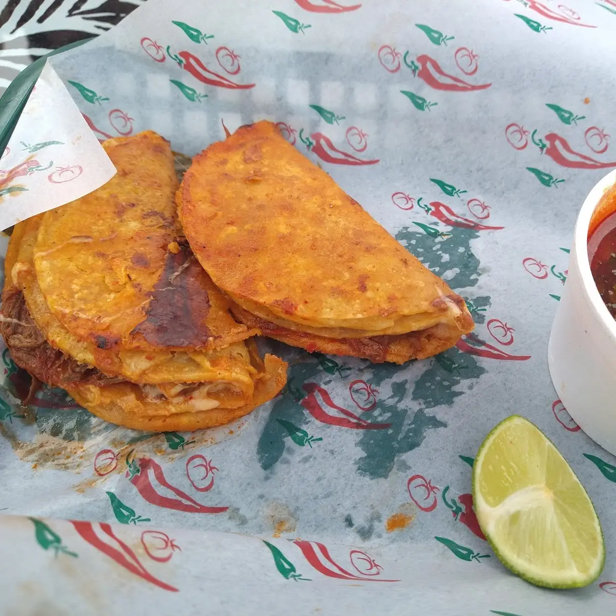Quesa-Birria Tacos