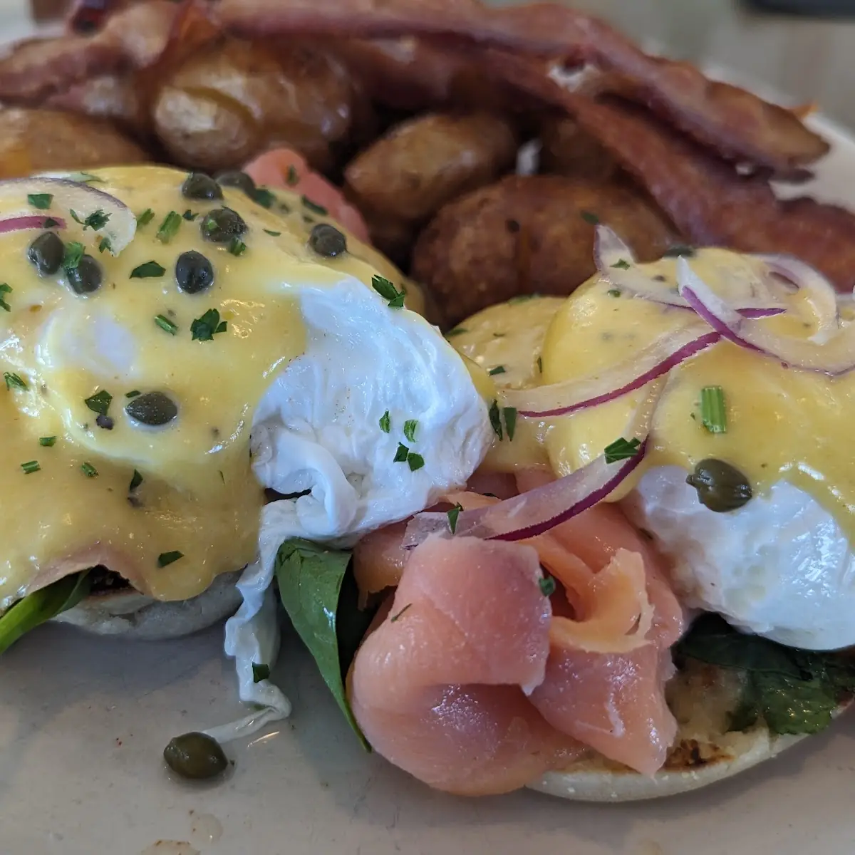 Salmon Benedict