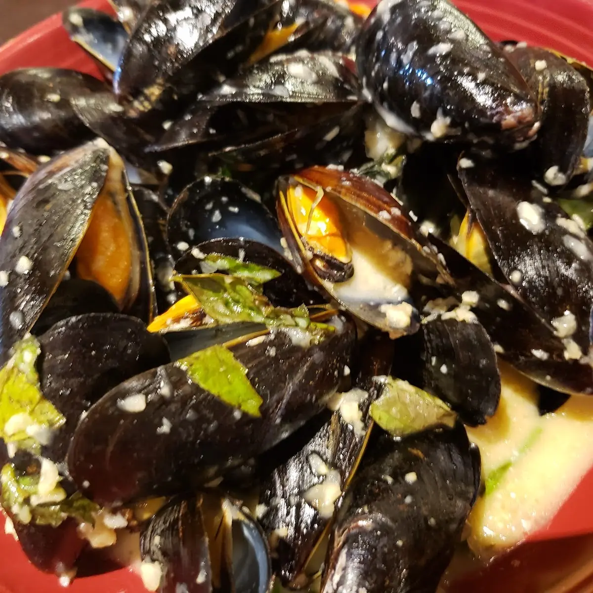 Cozze in Bianco
