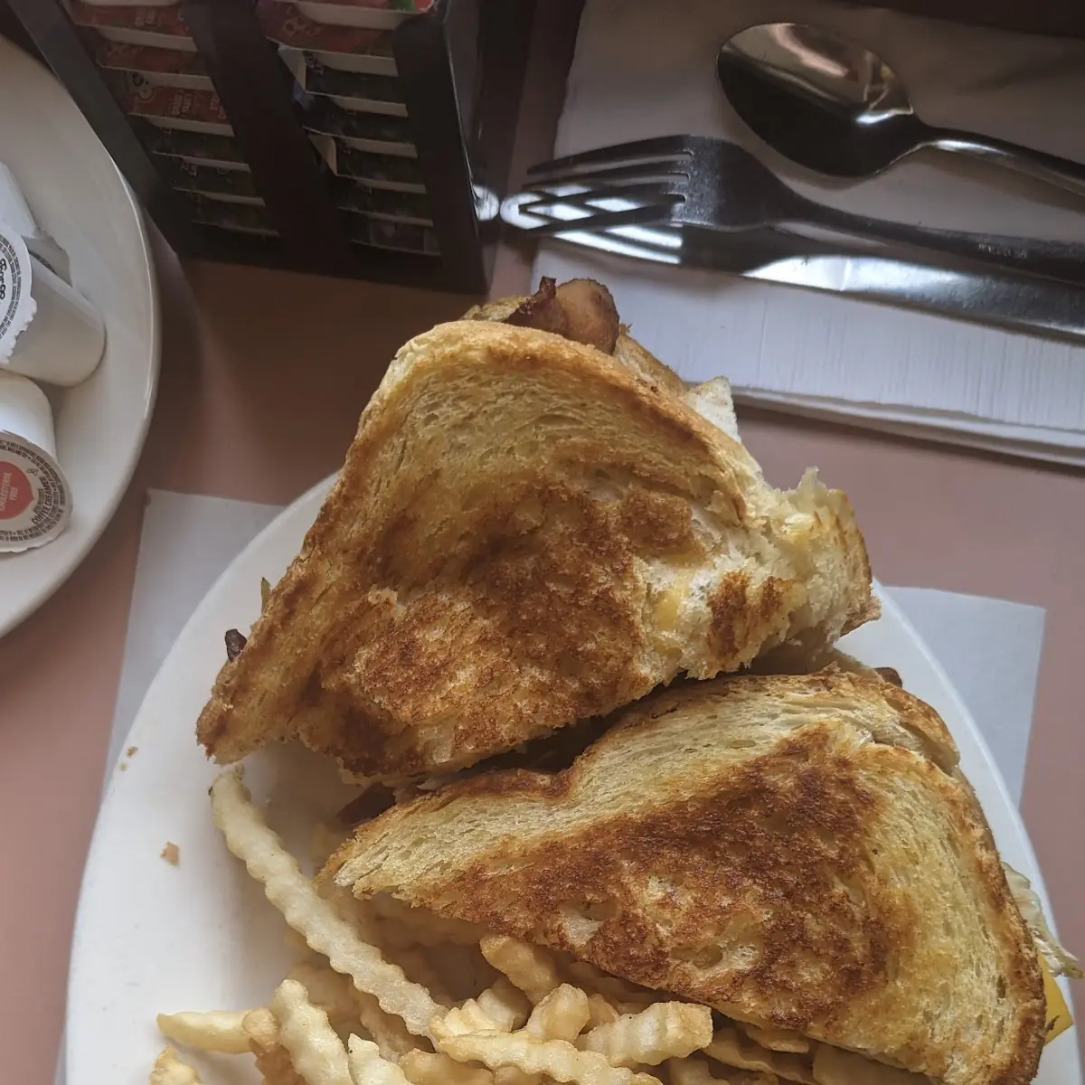 Turkey Bacon Melt