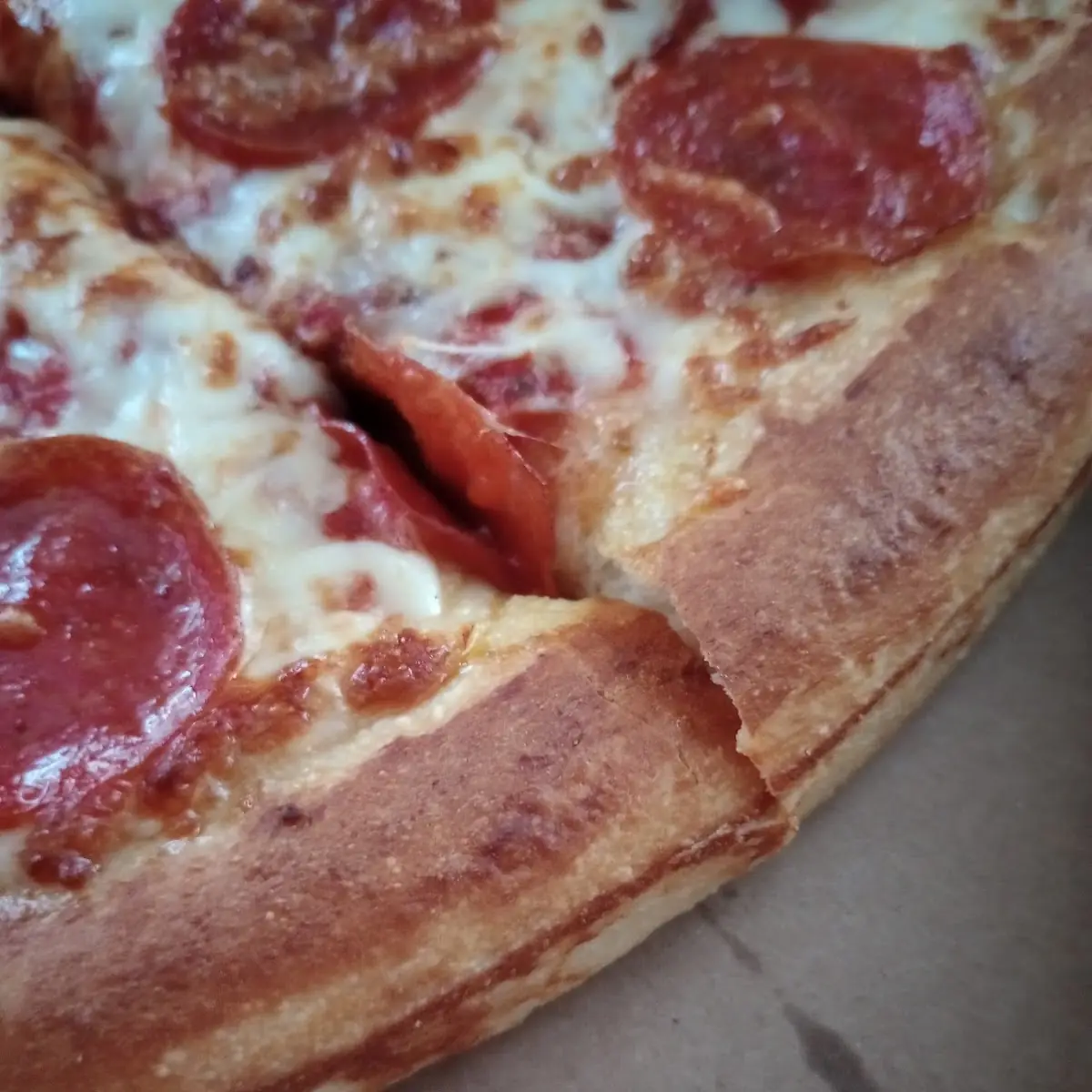 Supposed Pretzel Crust Pizza