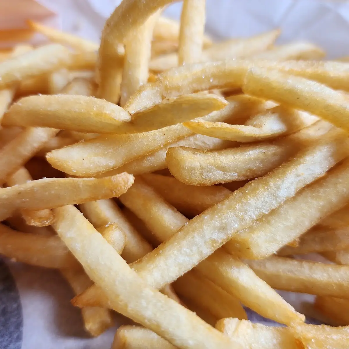World Famous Fries