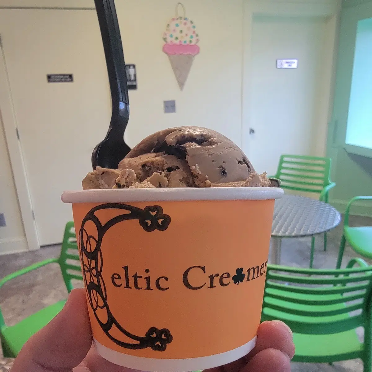 Chocolate Ice Cream