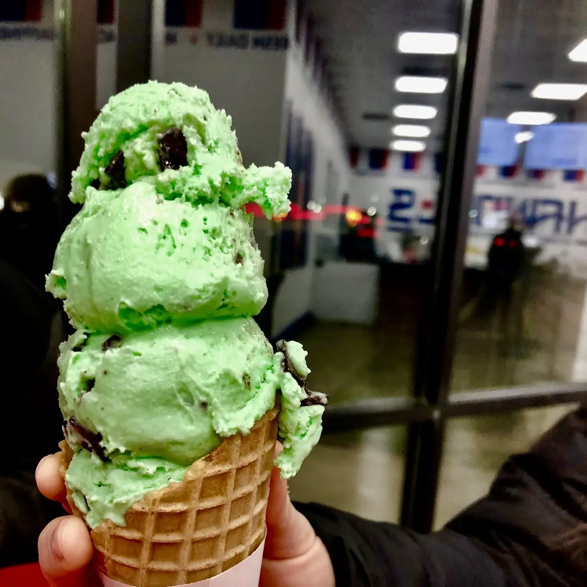 Mint Chocolate Chip