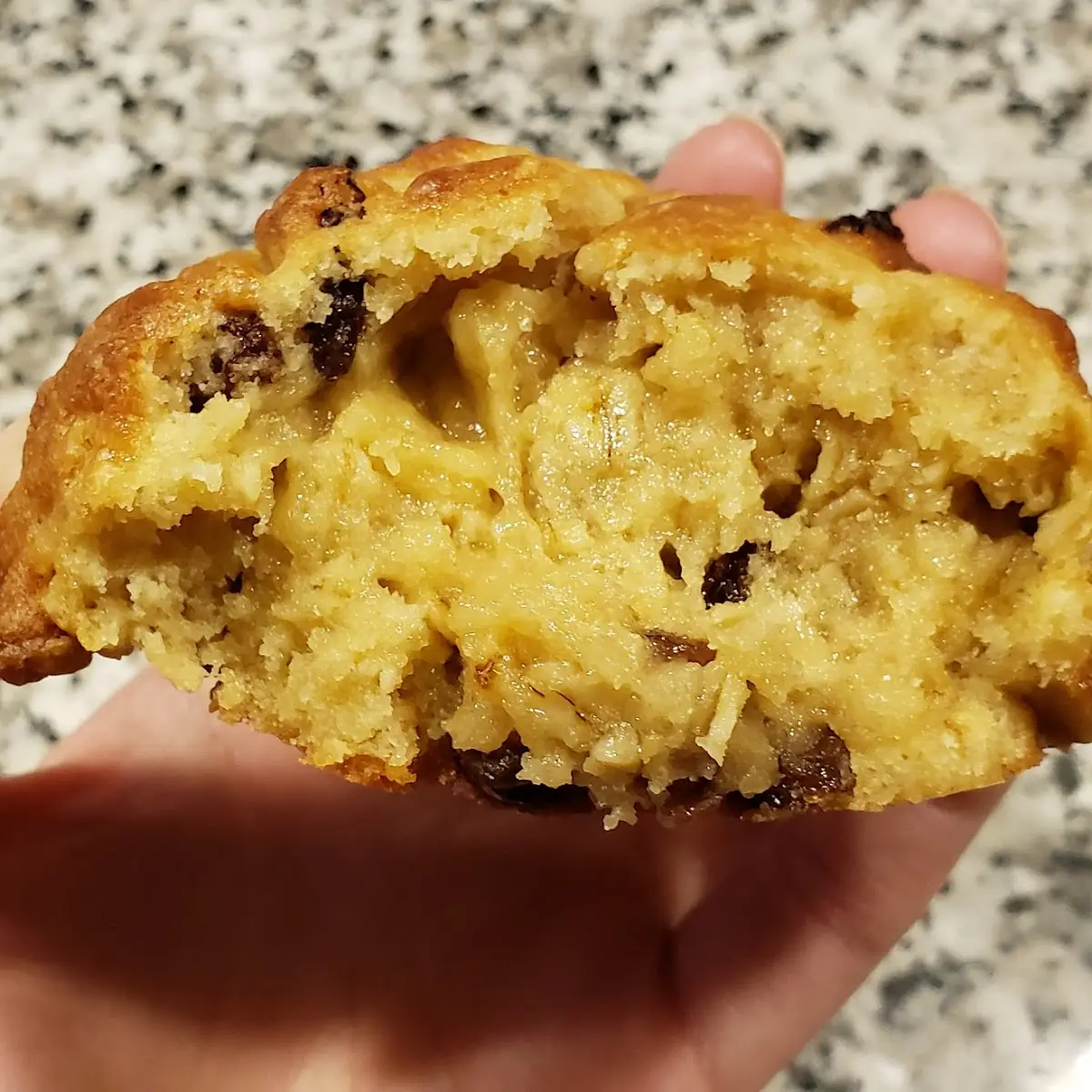 Mushy Oatmeal Cookie