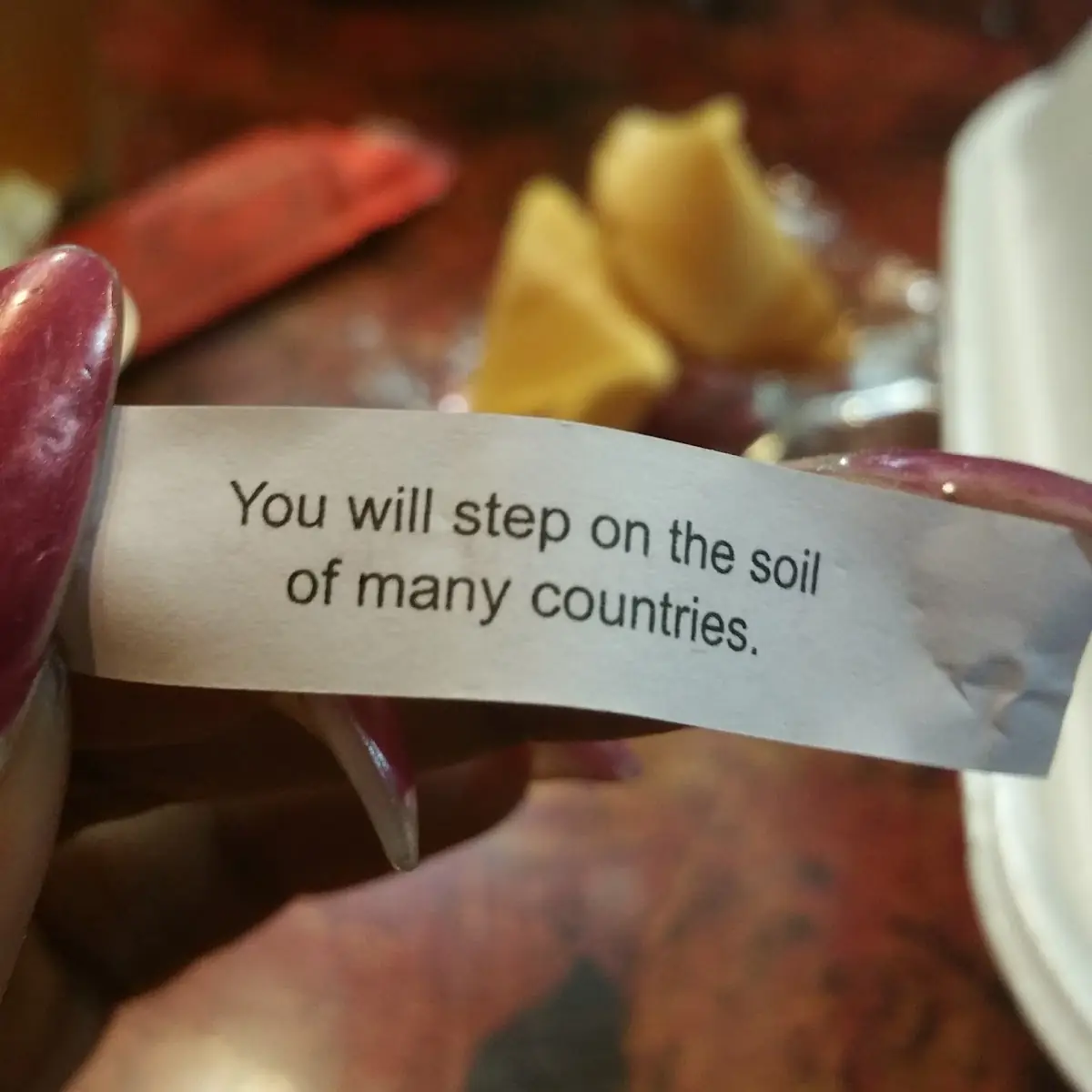 My Fortune Cookie