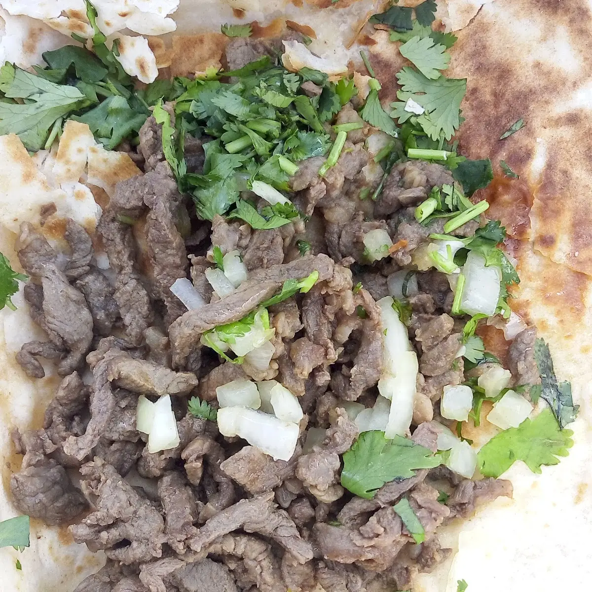 Open Carne Asada Burrito