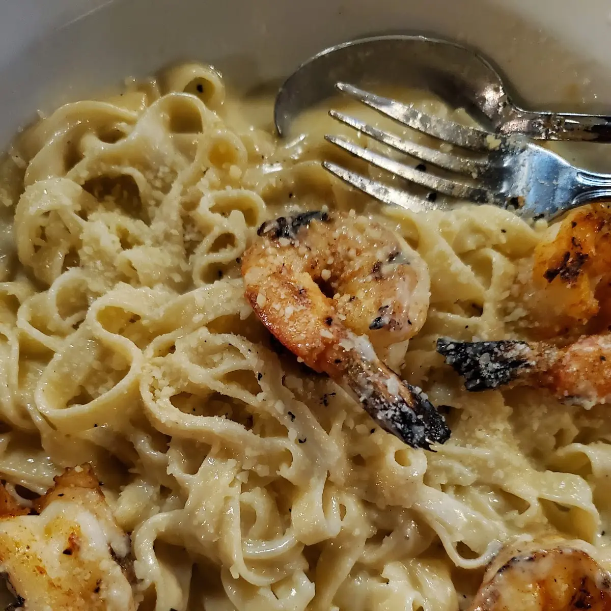 Shrimp Alfredo