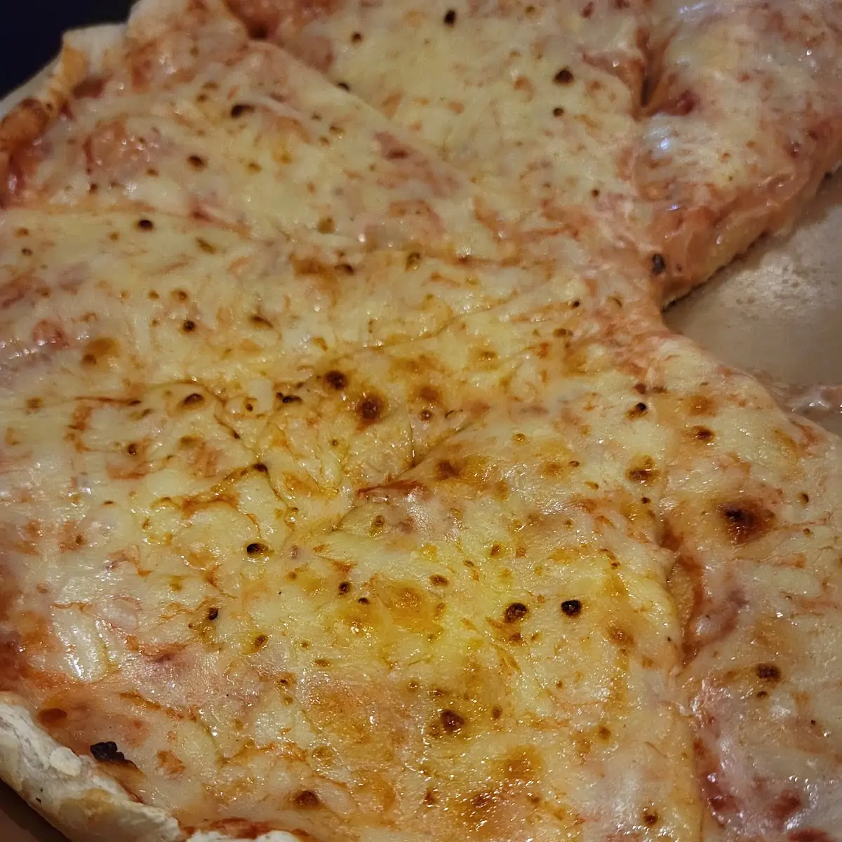 Plain Cheese Pizza