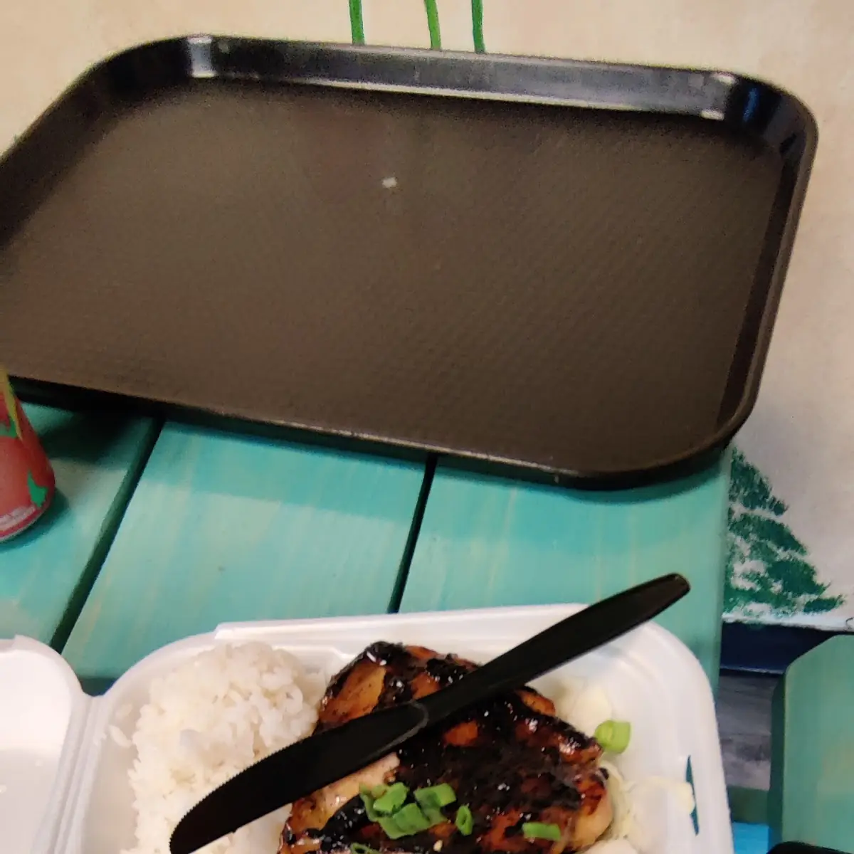 Chicken Teriyaki