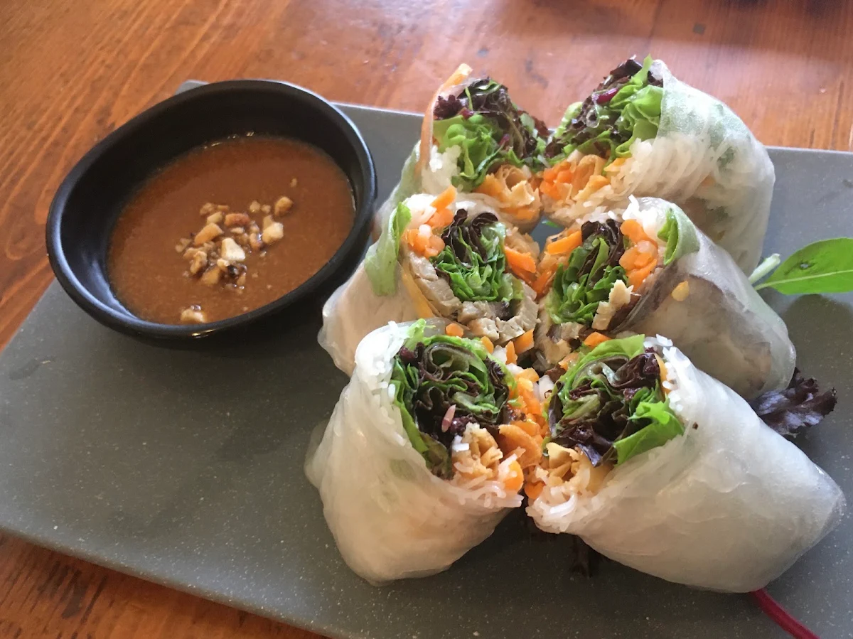 Rice Paper Rolls, Ngon Brisbane