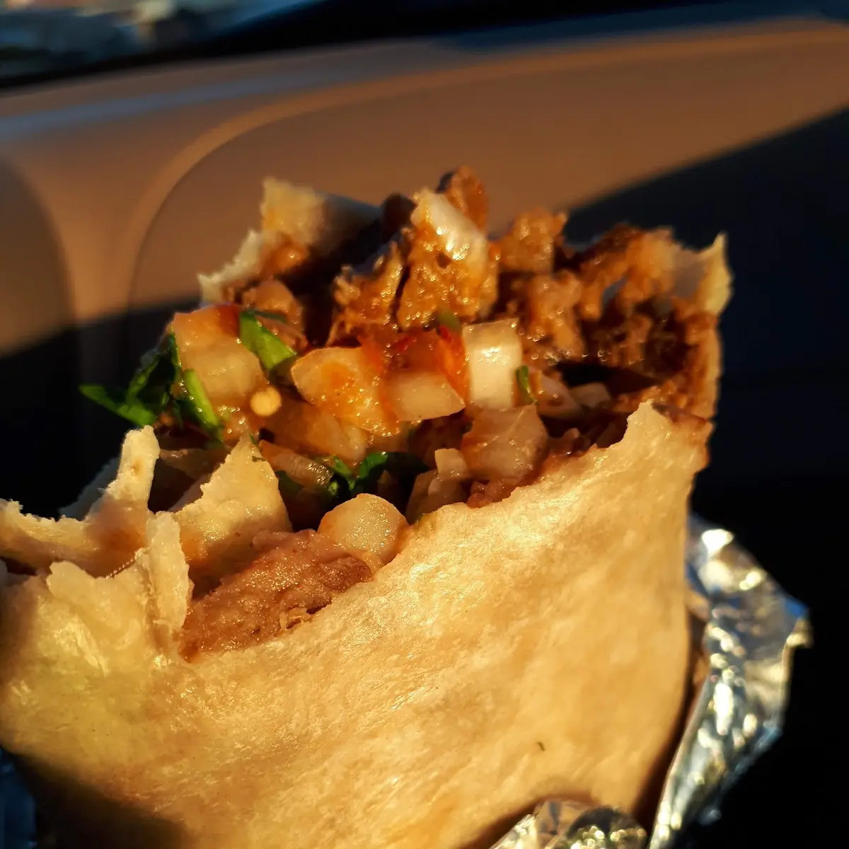 Carne Asada Bean Burrito