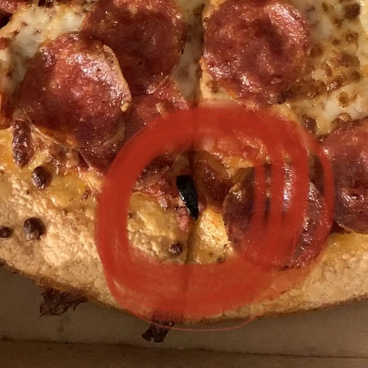 Pepperoni Lover's Melt