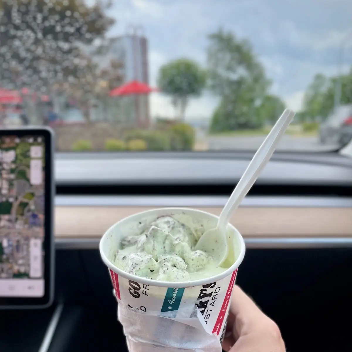 Mint Chocolate Chip Concrete