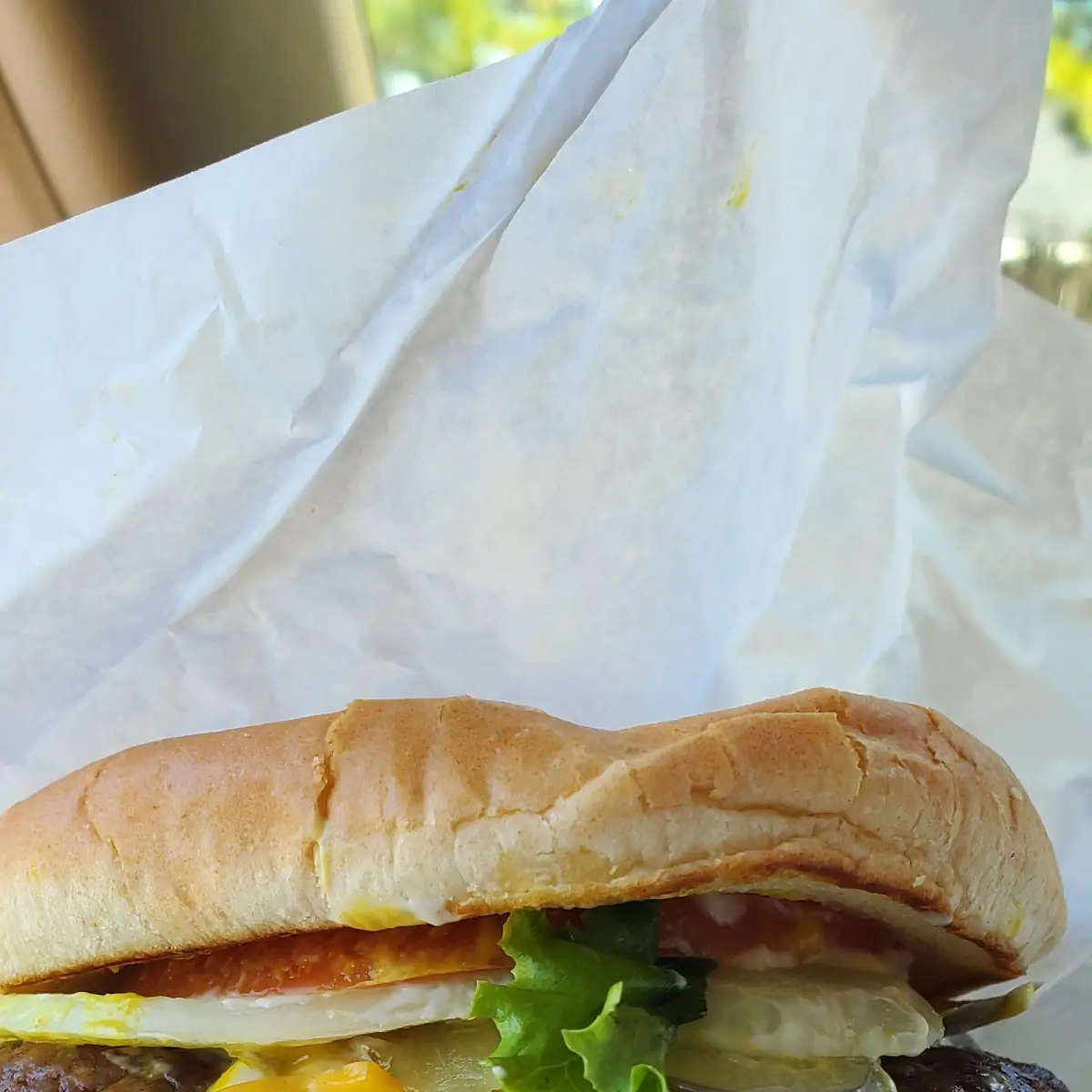 Double and Cheese Steak Burger and Fries