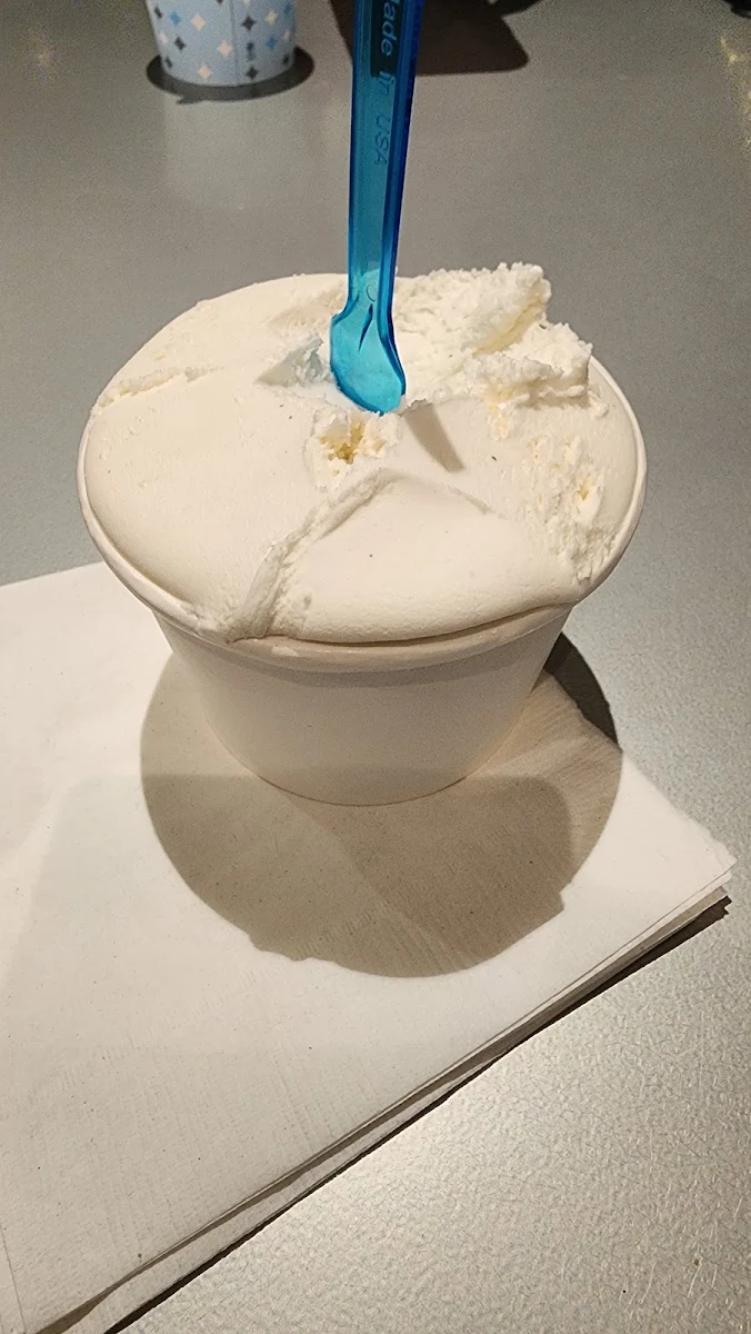 Vanilla Ice Cream