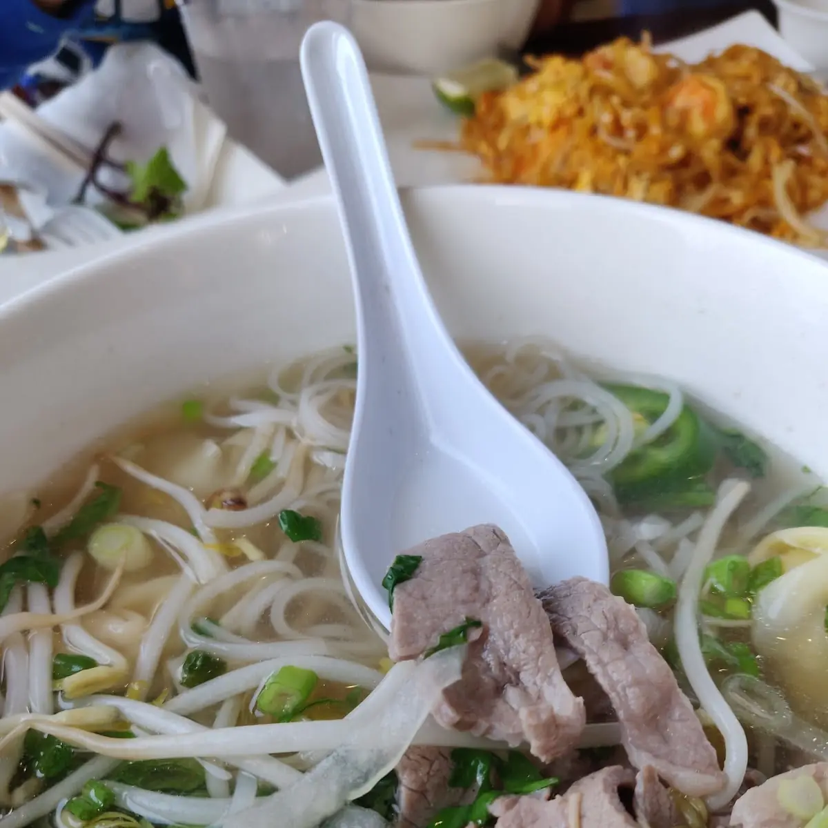 Beef Lemon Grass Soup