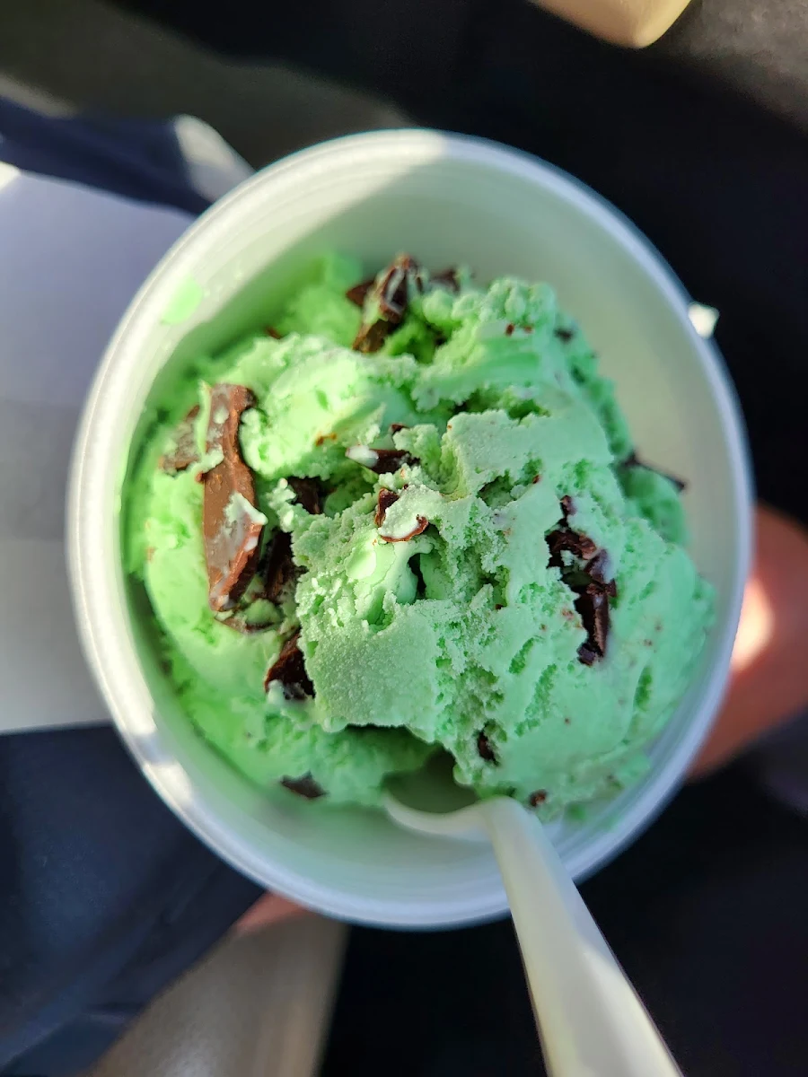 Is Mint Chip Ice Cream