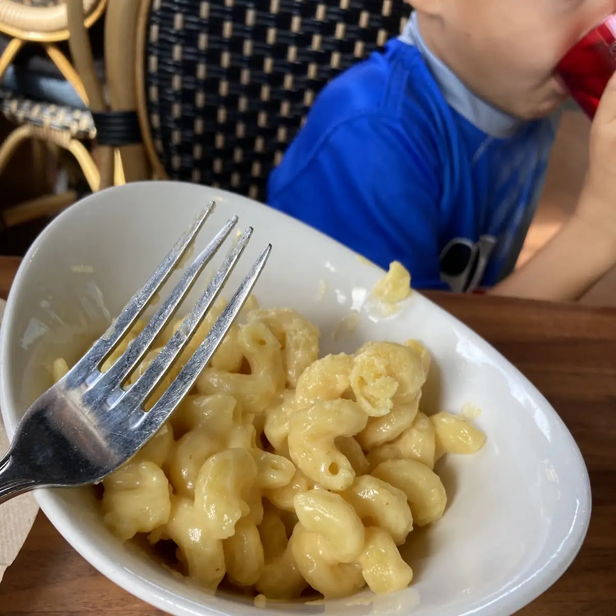 Mac and Cheese Individual