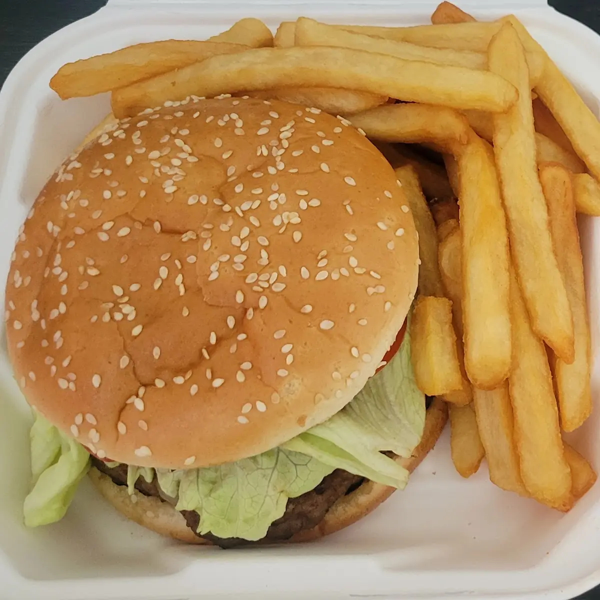 Texas Burger and Fries