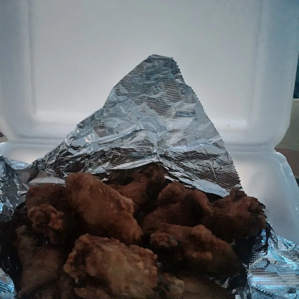 Plain Wings