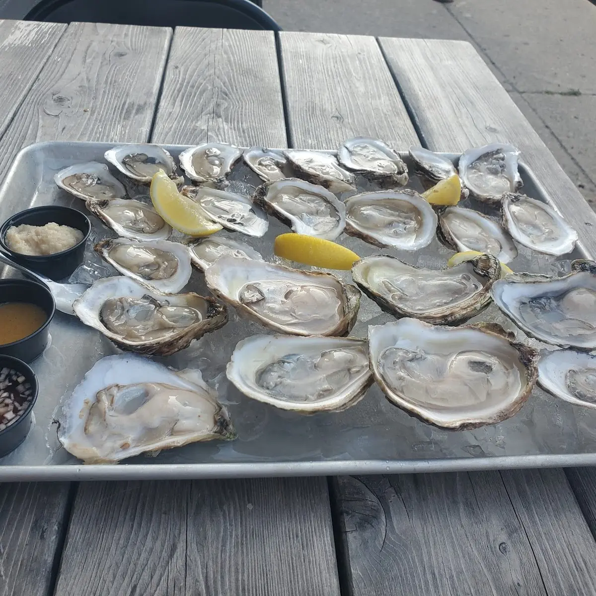 Oysters, March Hare