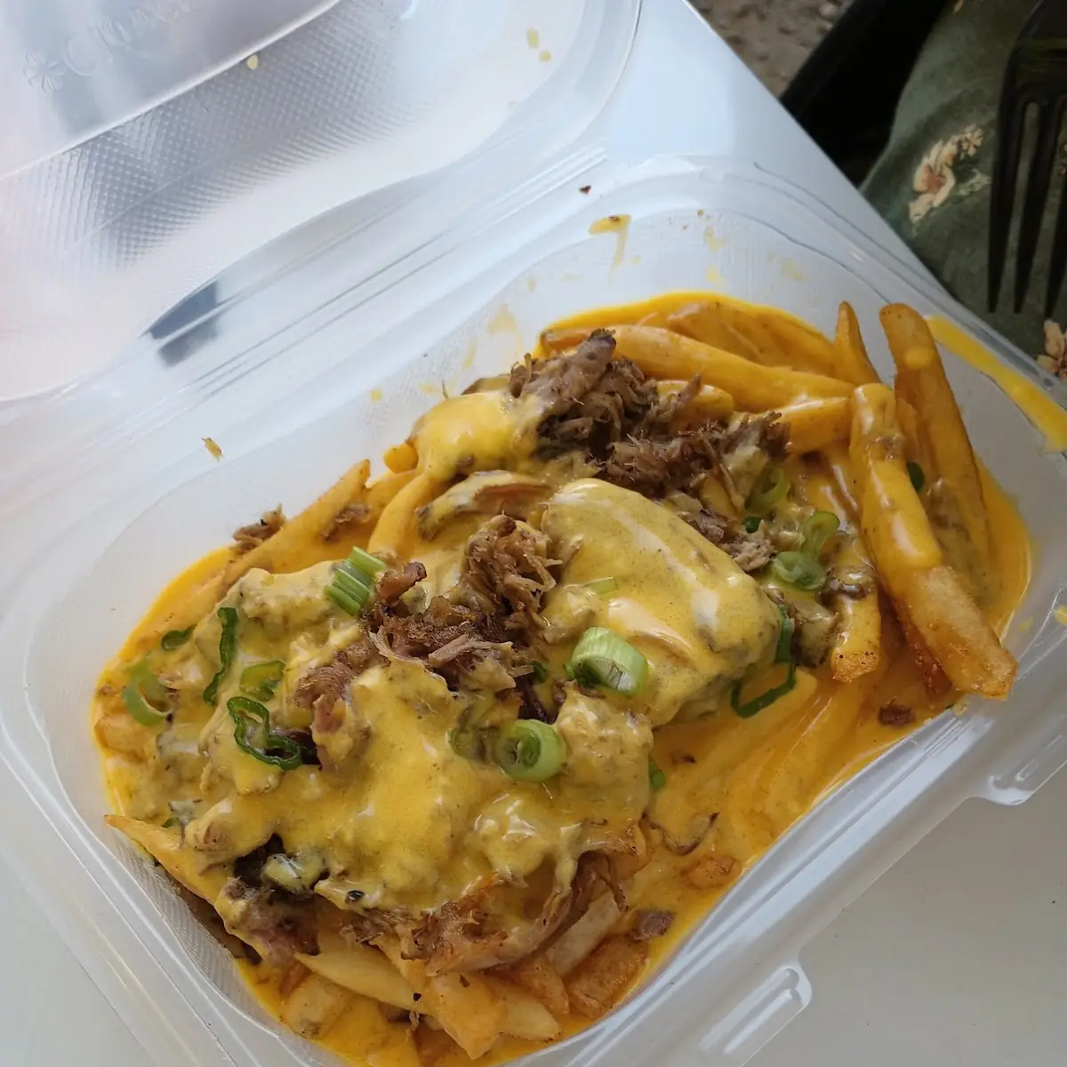 Loaded Fries with Brisket