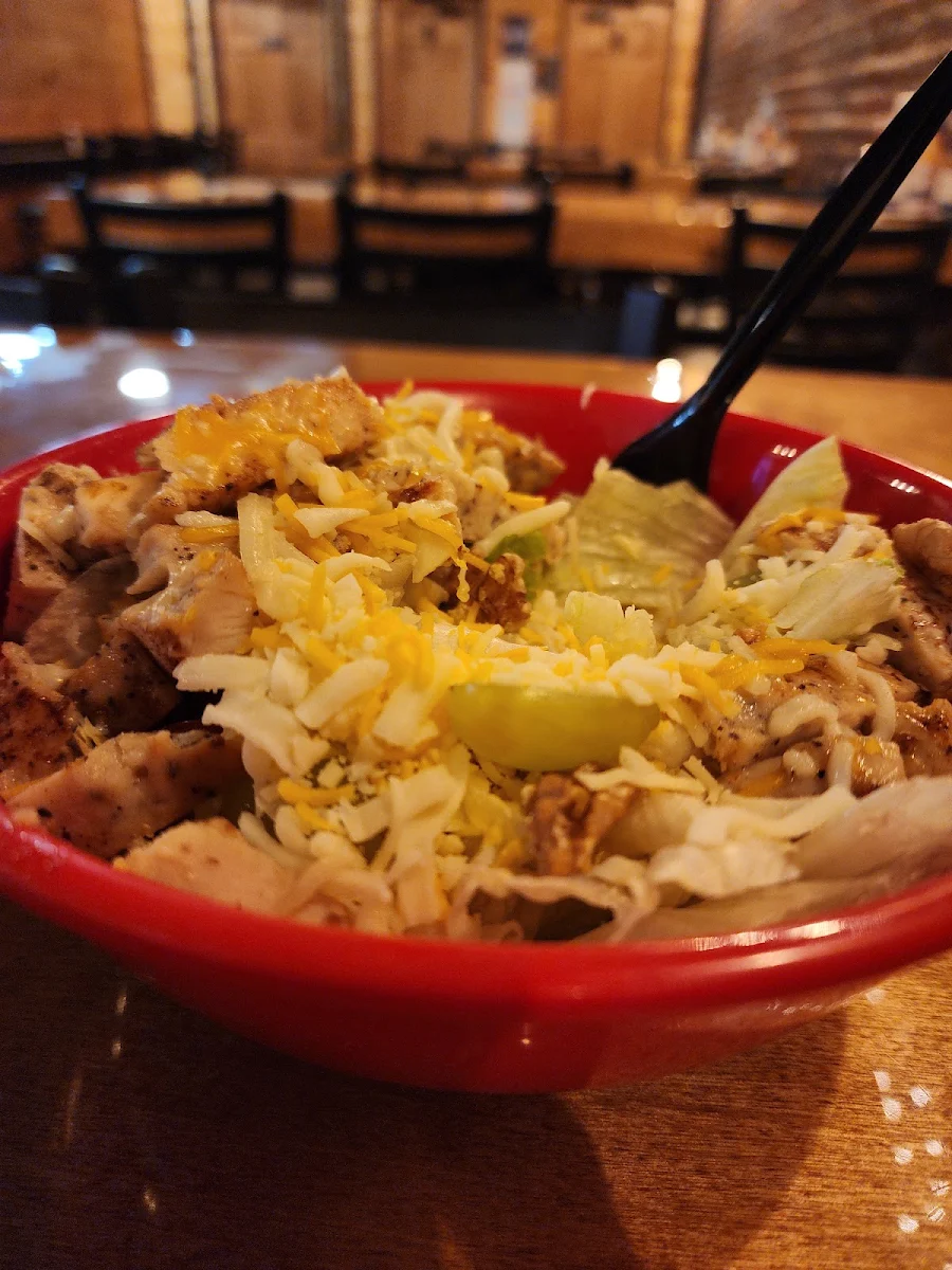Grilled Chicken Salad