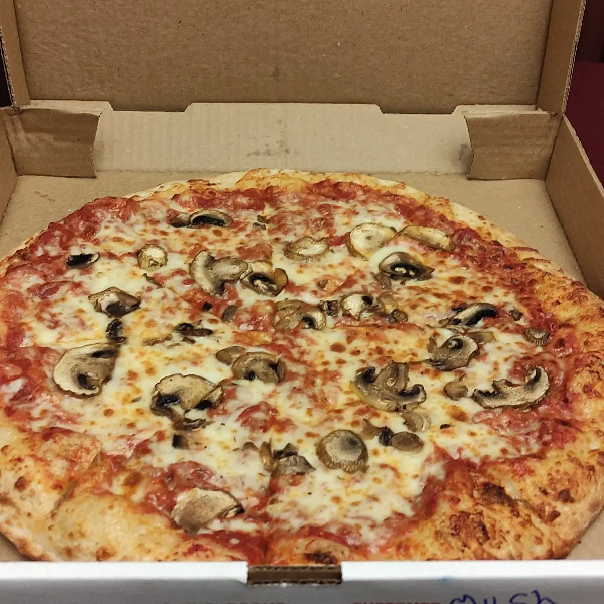 Mushroom Pizza
