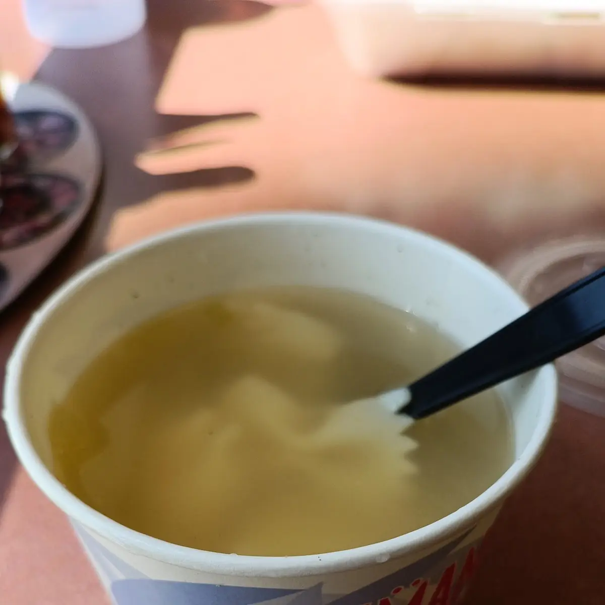 Chicken Noodle Soup