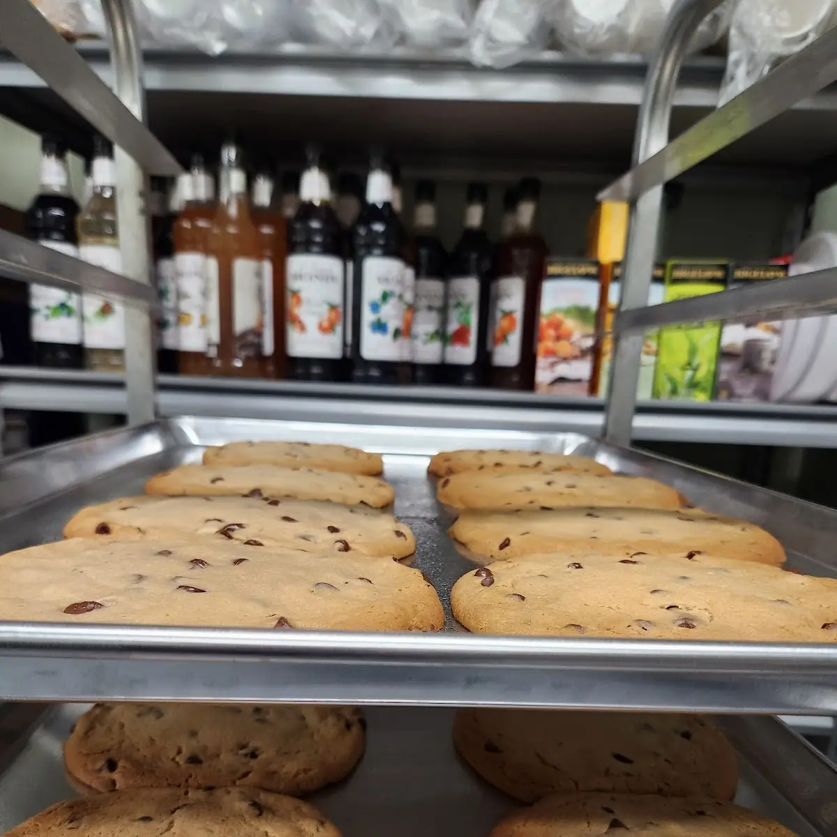 Chocolate Chip