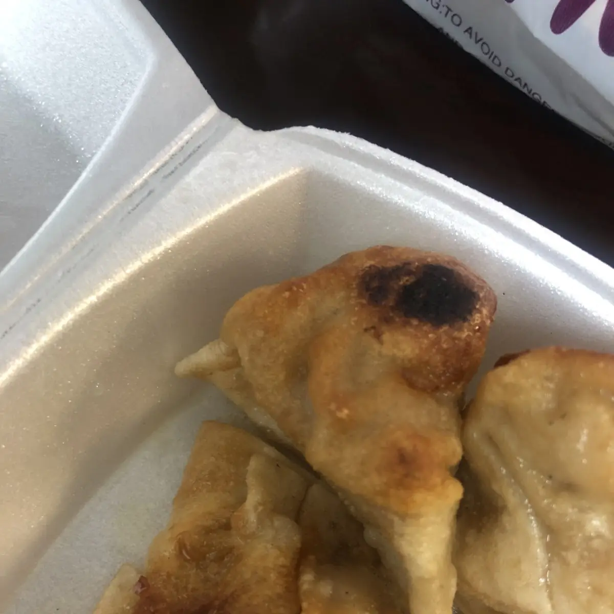 Steamed Fried Dumplings 8